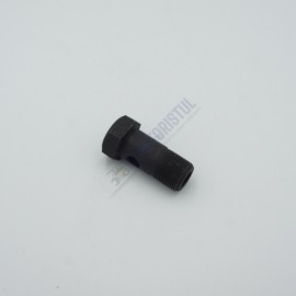 Cep holender M24