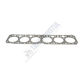 Garnitura chiulasa raba D 123 (Fermit)