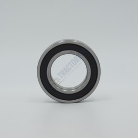 Rulment 6007 2RS