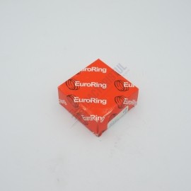 Segmenti ARO R5 EURORING