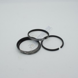 Segmenti U445 D95.4 R3 DRUJBA