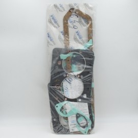 Set garnituri motor U640