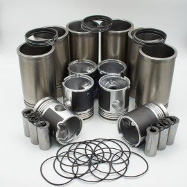 Set motor SAVIEM