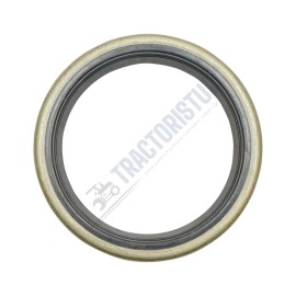 Simering stergator cilindru forta D 100